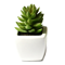 Dekorace
